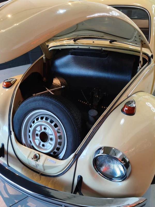 FUSCA 1500