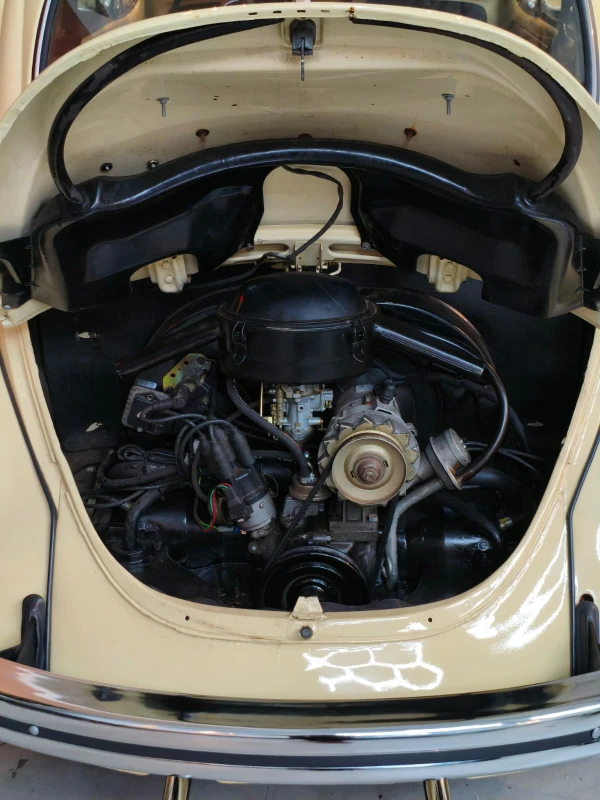 FUSCA 1500