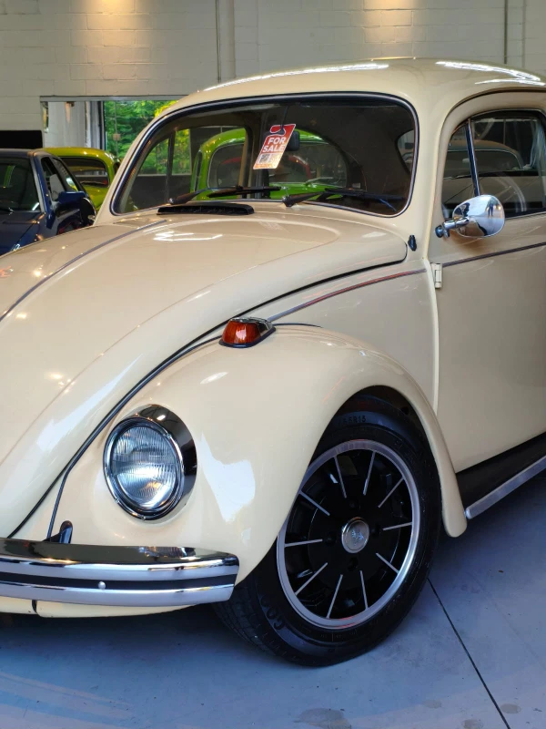 FUSCA 1500
